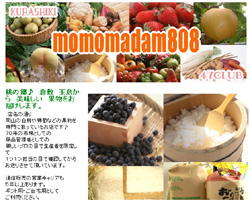 momomadam808 Rt[cEYEj[sI[l